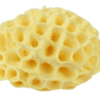 Natural Sea Sponge